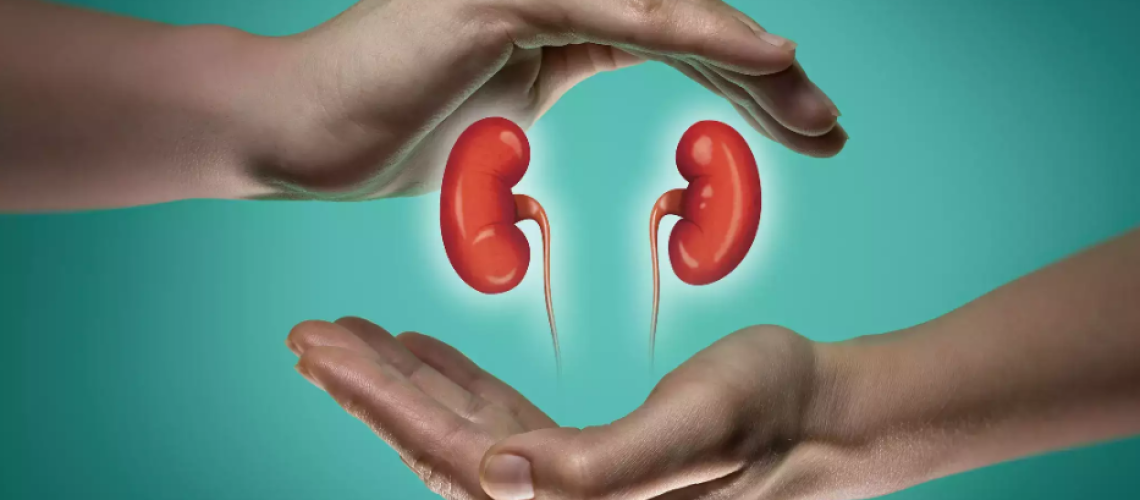 Blood samples may predict kidney