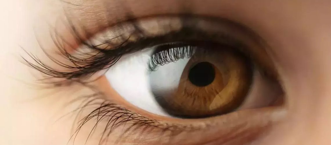 Lab-grown-mini-eyes-unlock-understanding-of-blindness-in-rare-genetic-condition
