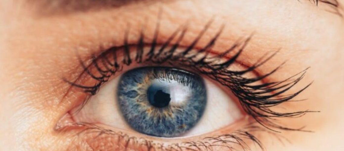 Metabolites regulating eye colour